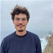 Studente di Giurisprudenza dell'ultimo anno offre ripetizioni di diritto per studenti di scuole superiori e agli studenti dei primi anni di corsi universitari con esami giuridici